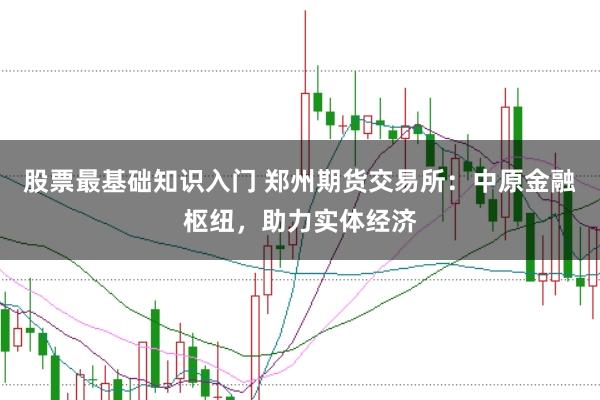 股票最基础知识入门 郑州期货交易所：中原金融枢纽，助力实体经济