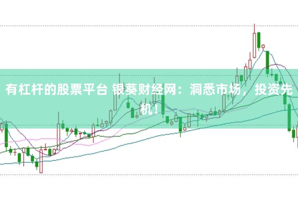 有杠杆的股票平台 银葵财经网：洞悉市场，投资先机！