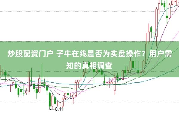 炒股配资门户 子牛在线是否为实盘操作？用户需知的真相调查
