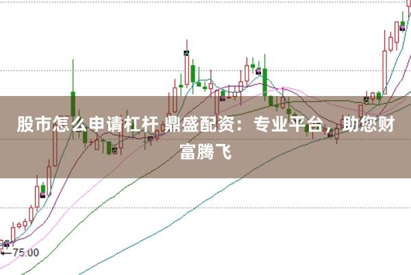 股市怎么申请杠杆 鼎盛配资：专业平台，助您财富腾飞