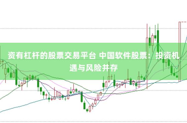 资有杠杆的股票交易平台 中国软件股票：投资机遇与风险并存