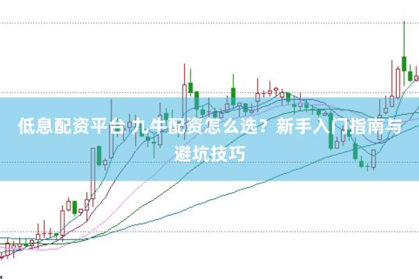低息配资平台 九牛配资怎么选？新手入门指南与避坑技巧