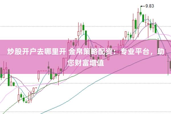 炒股开户去哪里开 金帛策略配资：专业平台，助您财富增值