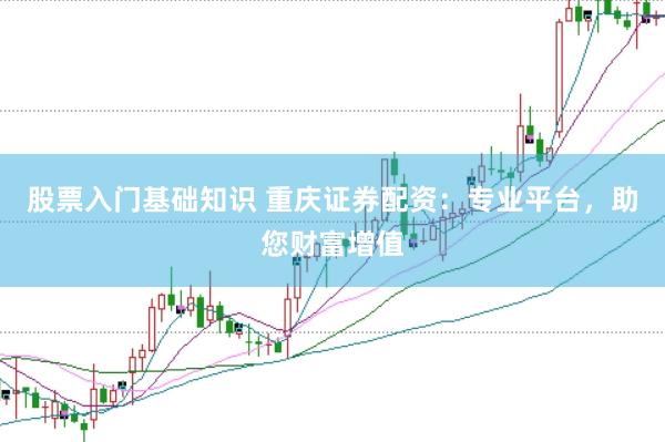 股票入门基础知识 重庆证券配资：专业平台，助您财富增值