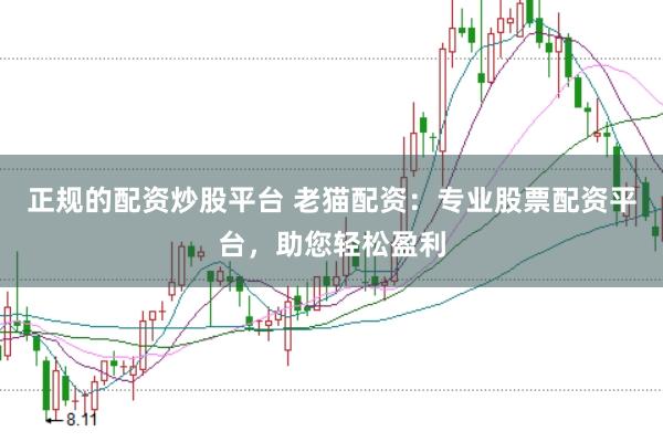 正规的配资炒股平台 老猫配资：专业股票配资平台，助您轻松盈利