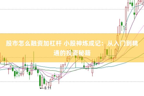 股市怎么融资加杠杆 小股神炼成记：从入门到精通的投资秘籍
