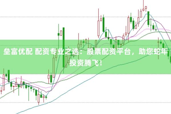 垒富优配 配资专业之选：股票配资平台，助您蛇年投资腾飞！