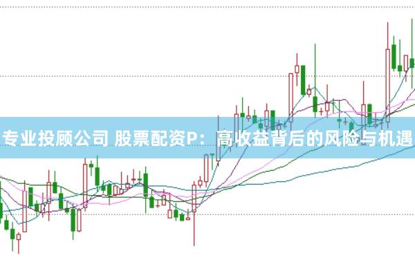 专业投顾公司 股票配资P:高收益背后的风险与机遇