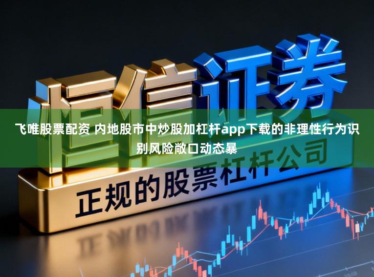 飞唯股票配资 内地股市中炒股加杠杆app下载的非理性行为识别风险敞口动态暴