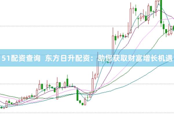 51配资查询  东方日升配资：助您获取财富增长机遇